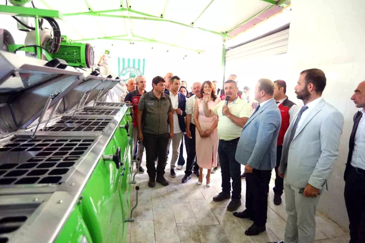 Muğla'da Zeytinyağı Etkinliği ve Kalite Yarışması Düzenlendi