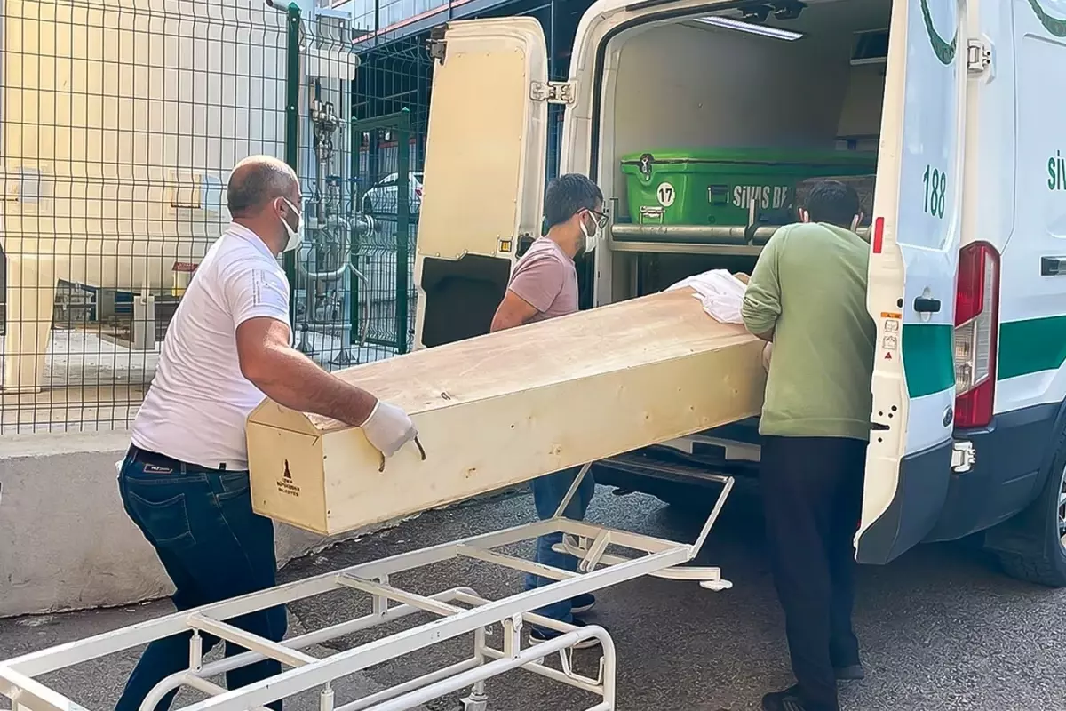 İstanbul'da kene vakalarında artış! 6-7 bin kişi hastaneye başvurdu