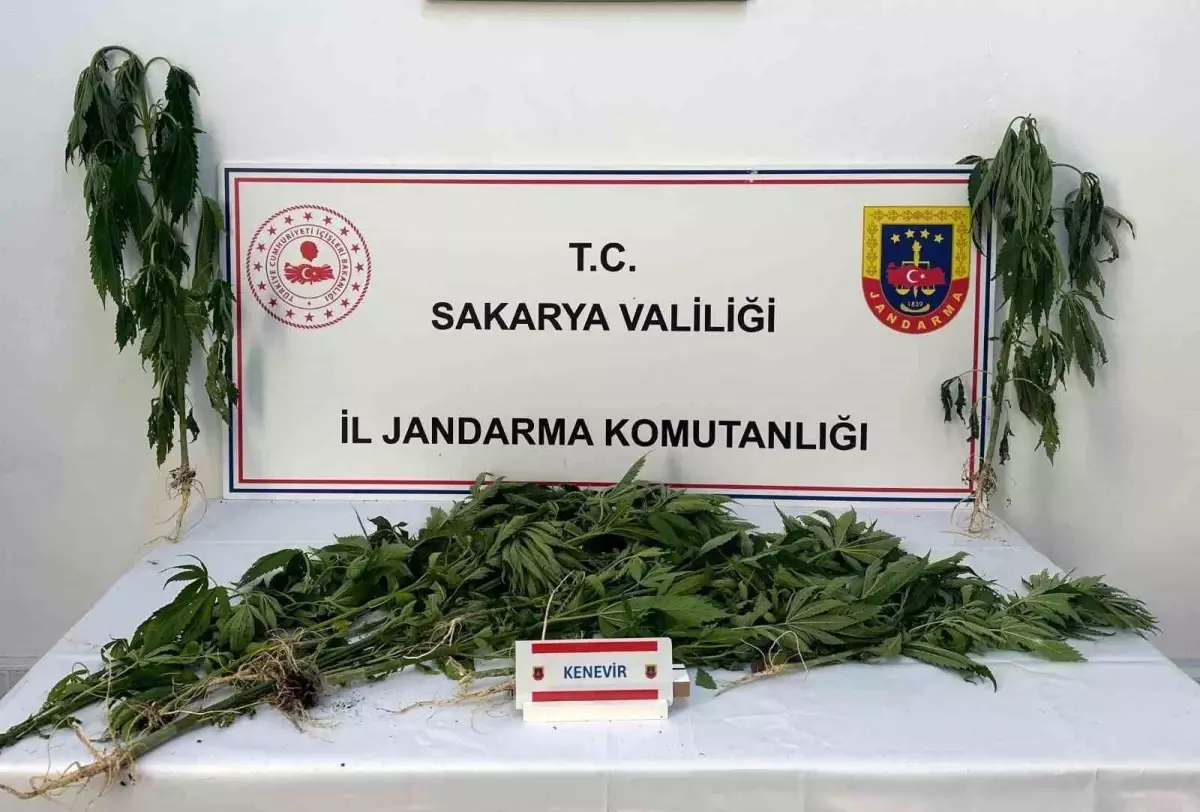 Sakarya'da Uyuşturucu Operasyonu: 3 Kişi Tutuklandı
