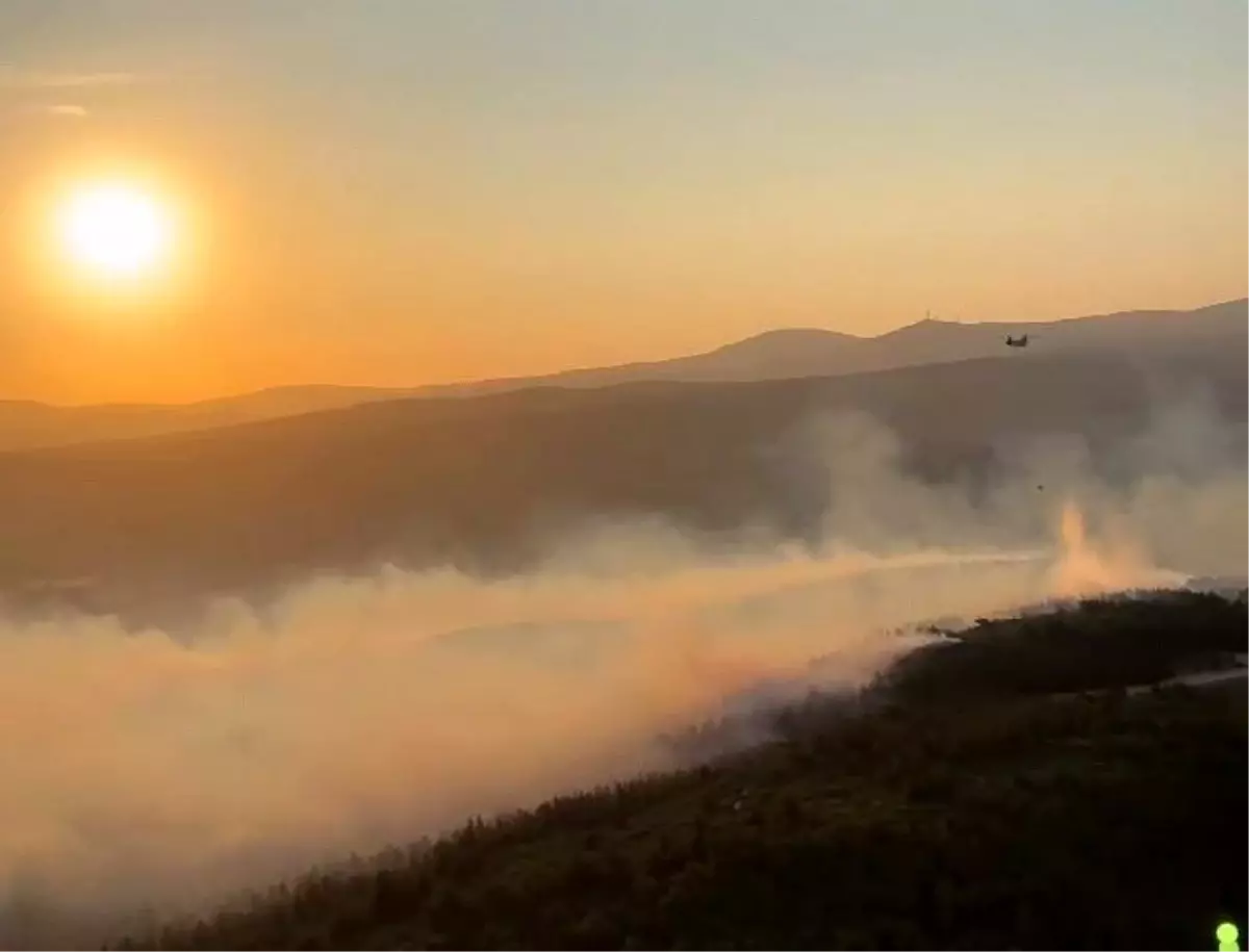 Manisa'da Orman Yangınına Hızlı Müdahale