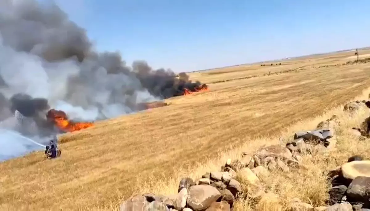 Viranşehir'de buğday arazisinde yangın: 5 yaralı