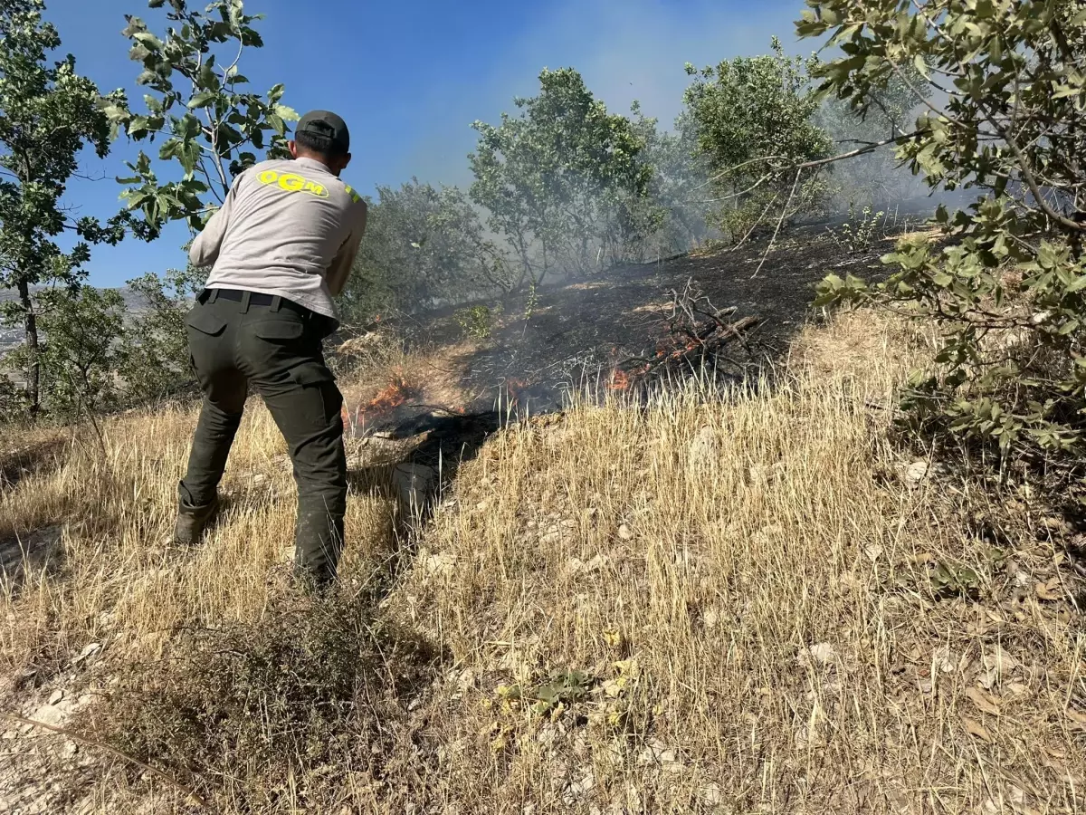 Şırnak'ta Cudi Dağı'nda Çıkan Yangın 4 Saatte Kontrol Altına Alındı