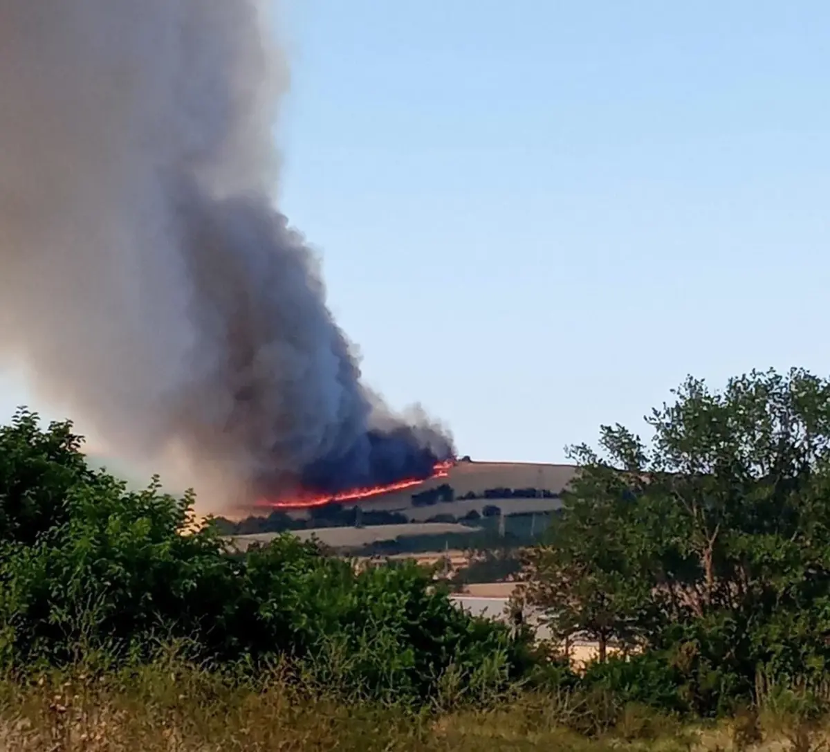 Malkara'da Yangın: 200 Dönüm Buğday Tarlasına Zarar