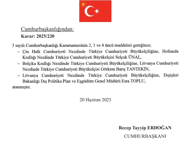 Yeni Litvanya Büyükelçisi Esra Toplu kimdir? Esra Toplu hayatı ve biyografisi!