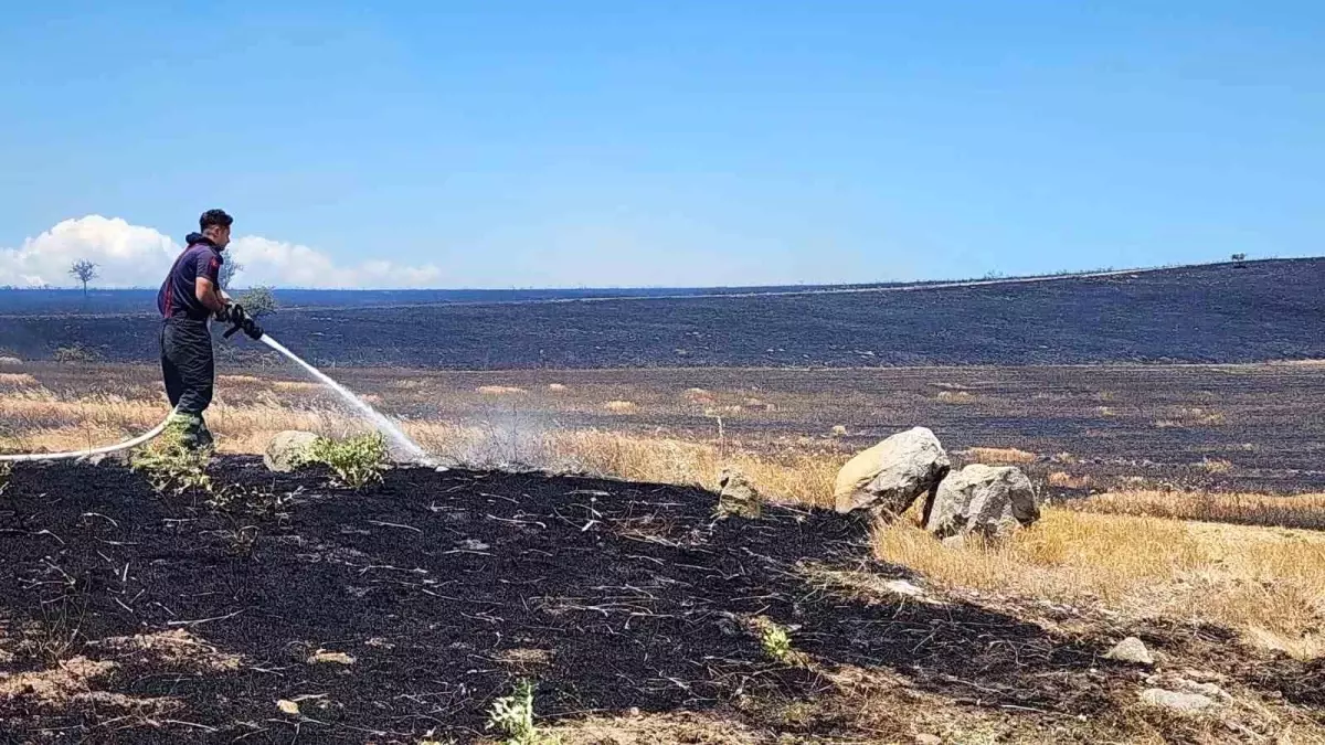 Bursa'da Yangın: 10 Bin Dönüm Arazi Alevlere Teslim Oldu