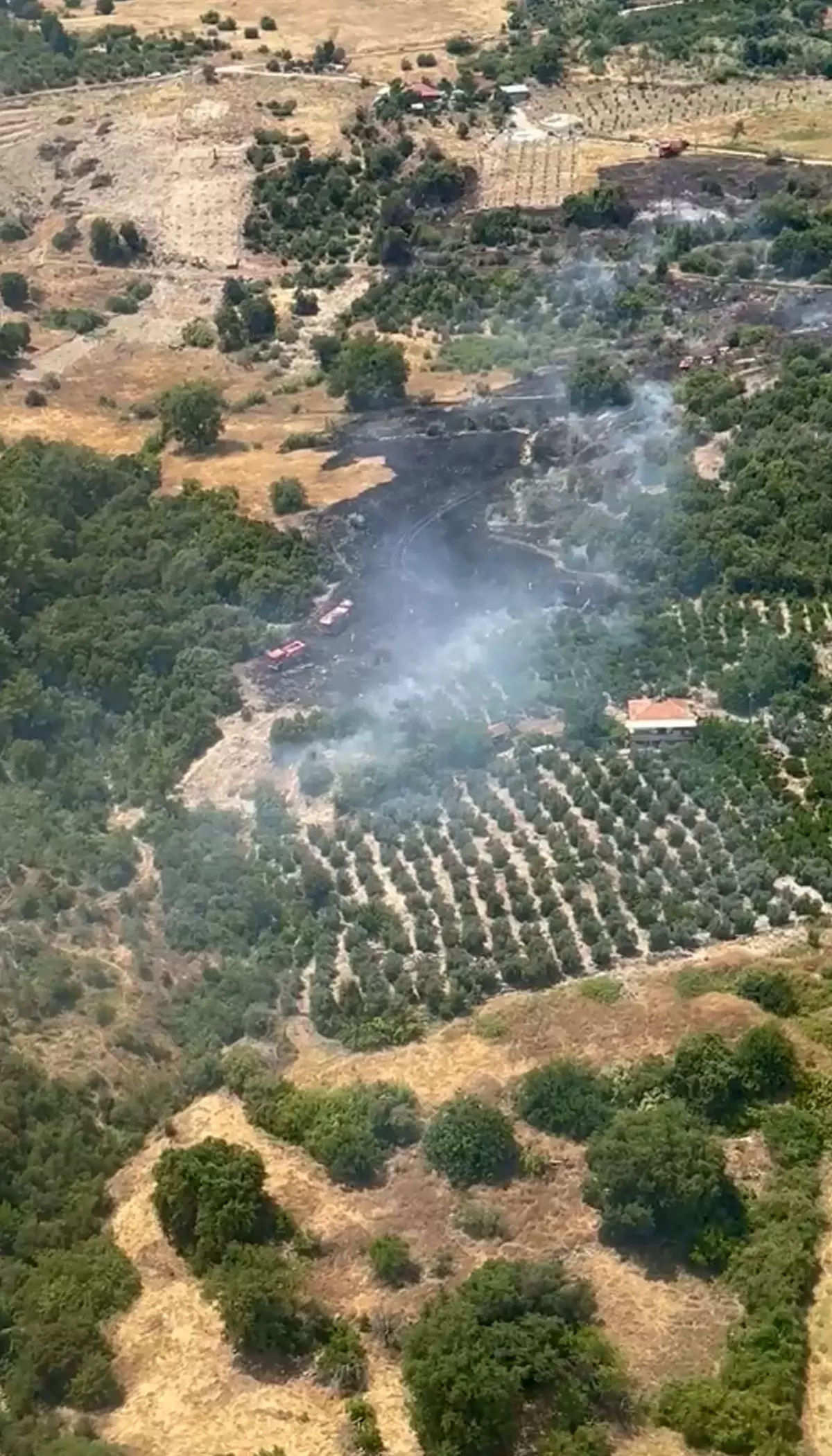 Kumluca'da Yangın Müdahalesi Sürüyor
