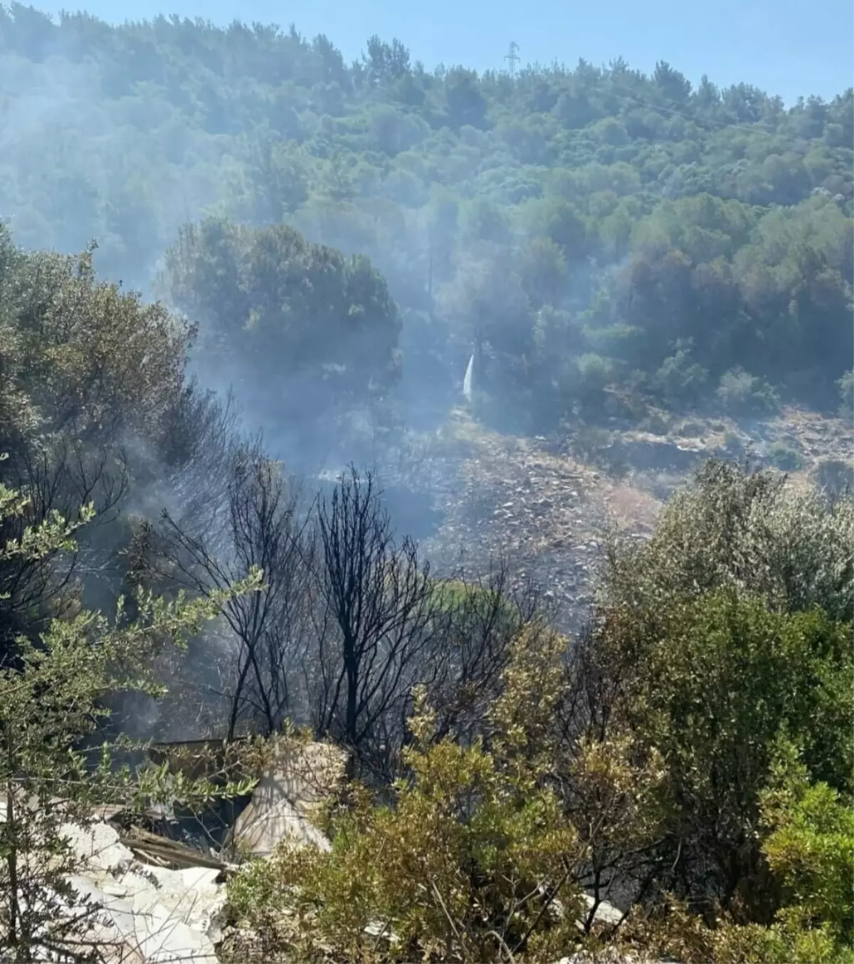 Kuşadası'ndaki Orman Yangını Kontrol Altına Alındı