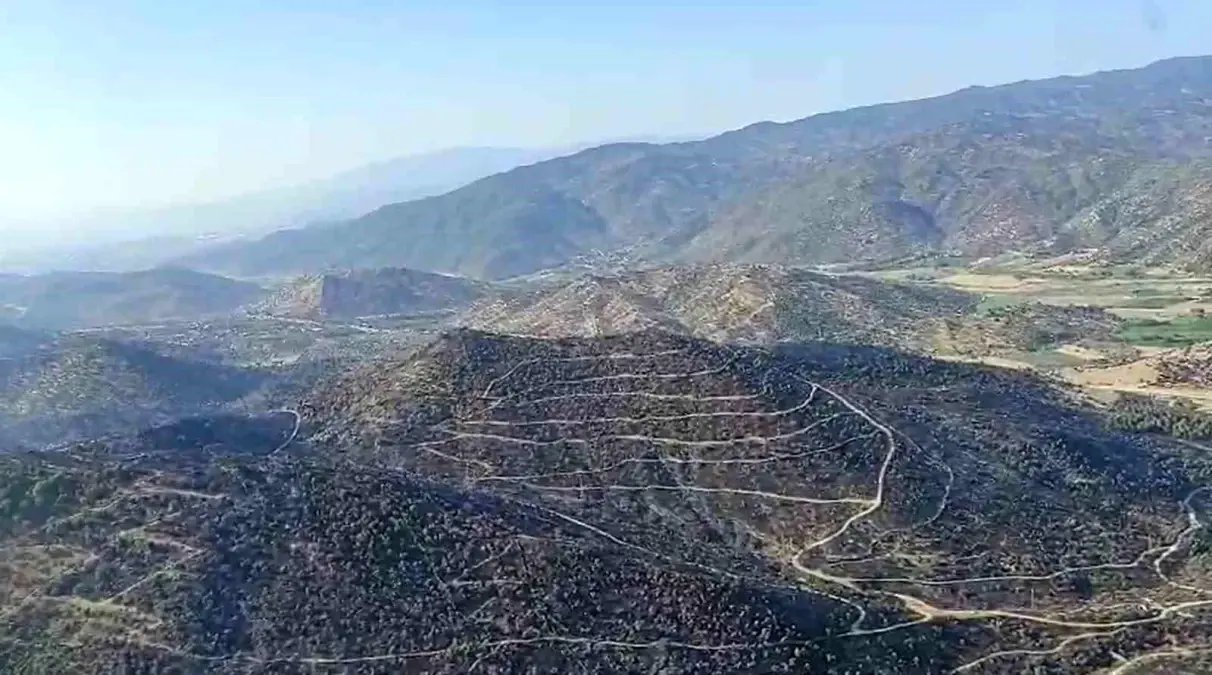 Aydın'da Tarım Arazisinde Başlayan Yangın Kontrol Altına Alındı