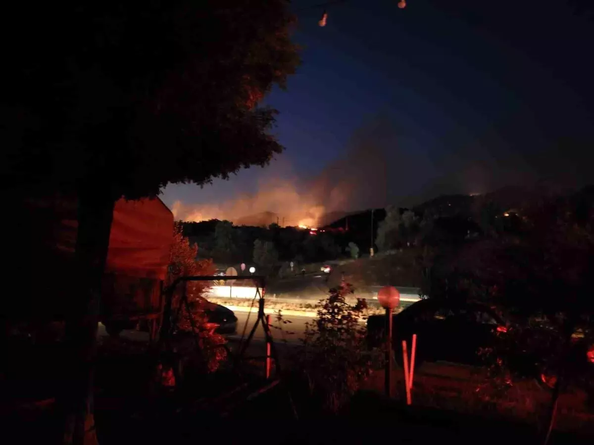 Aydın'da Tarım Arazisinde Başlayan Yangın Ormana Sıçradı