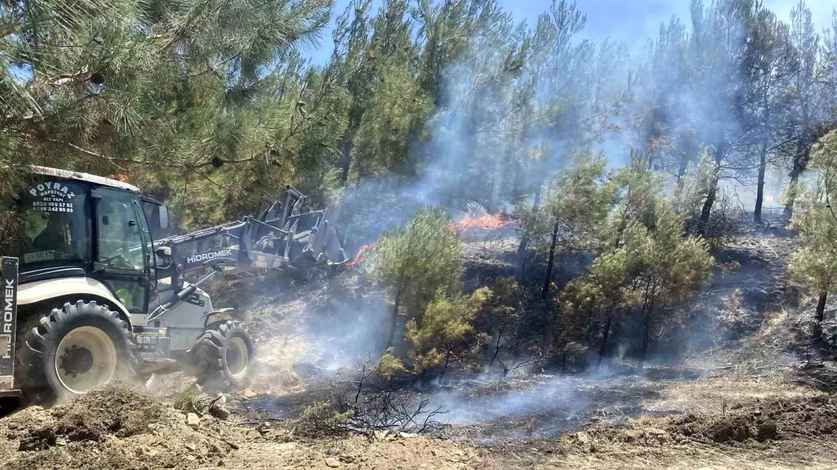 Çanakkale'de Tarım Arazisinde Başlayan Yangın Ormanlık Alana Sıçradı