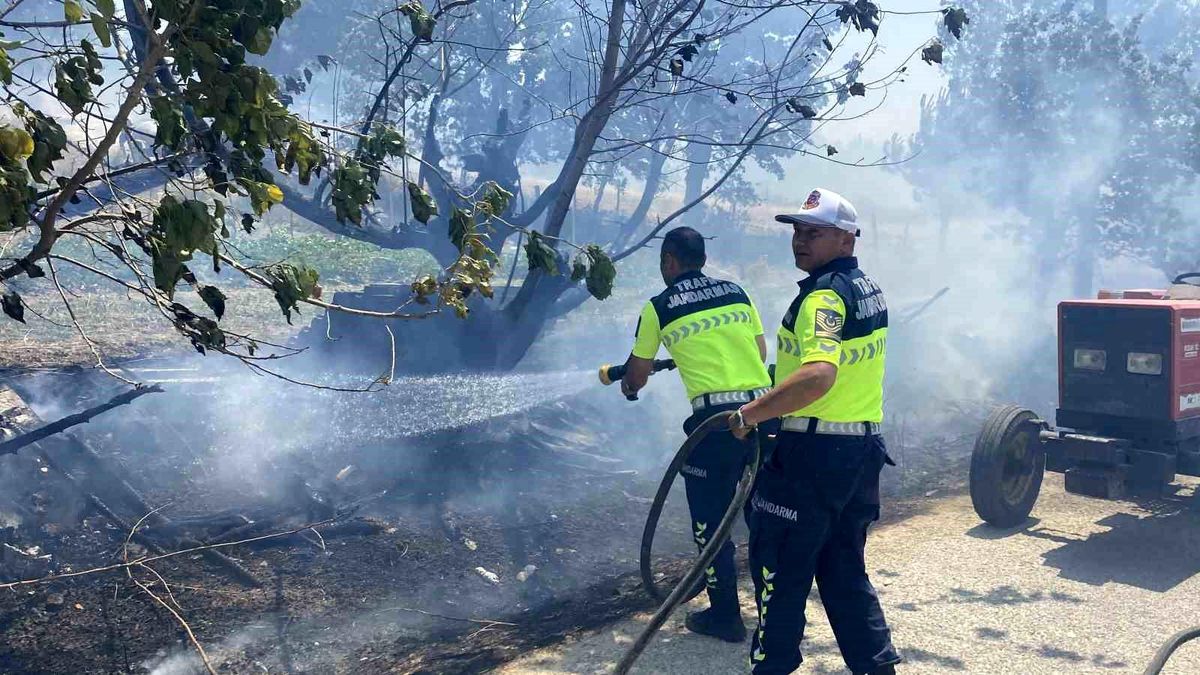 Çanakkale'deki Yangın Yenimahalle Köyüne Ulaştı
