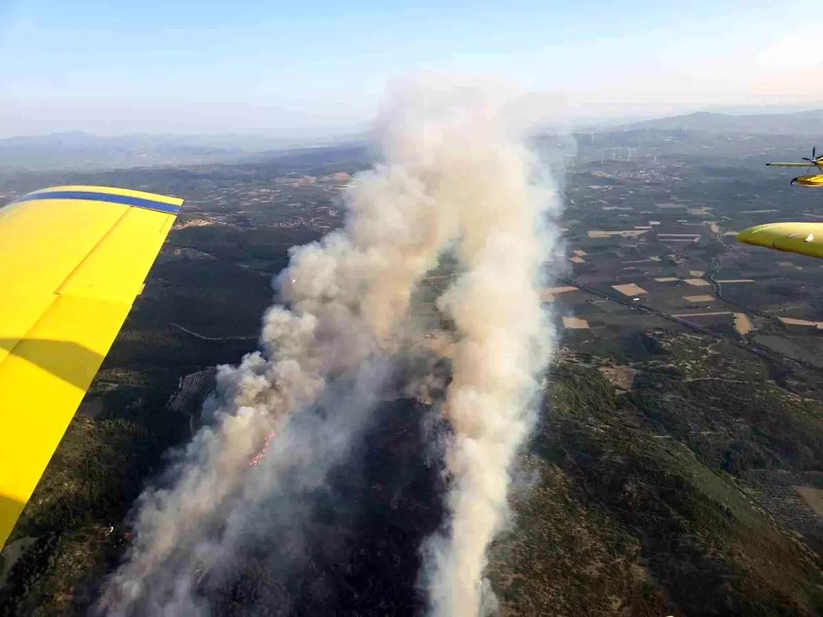 Manisa'da Yangın 16 Saat Sonra Kontrol Altına Alındı