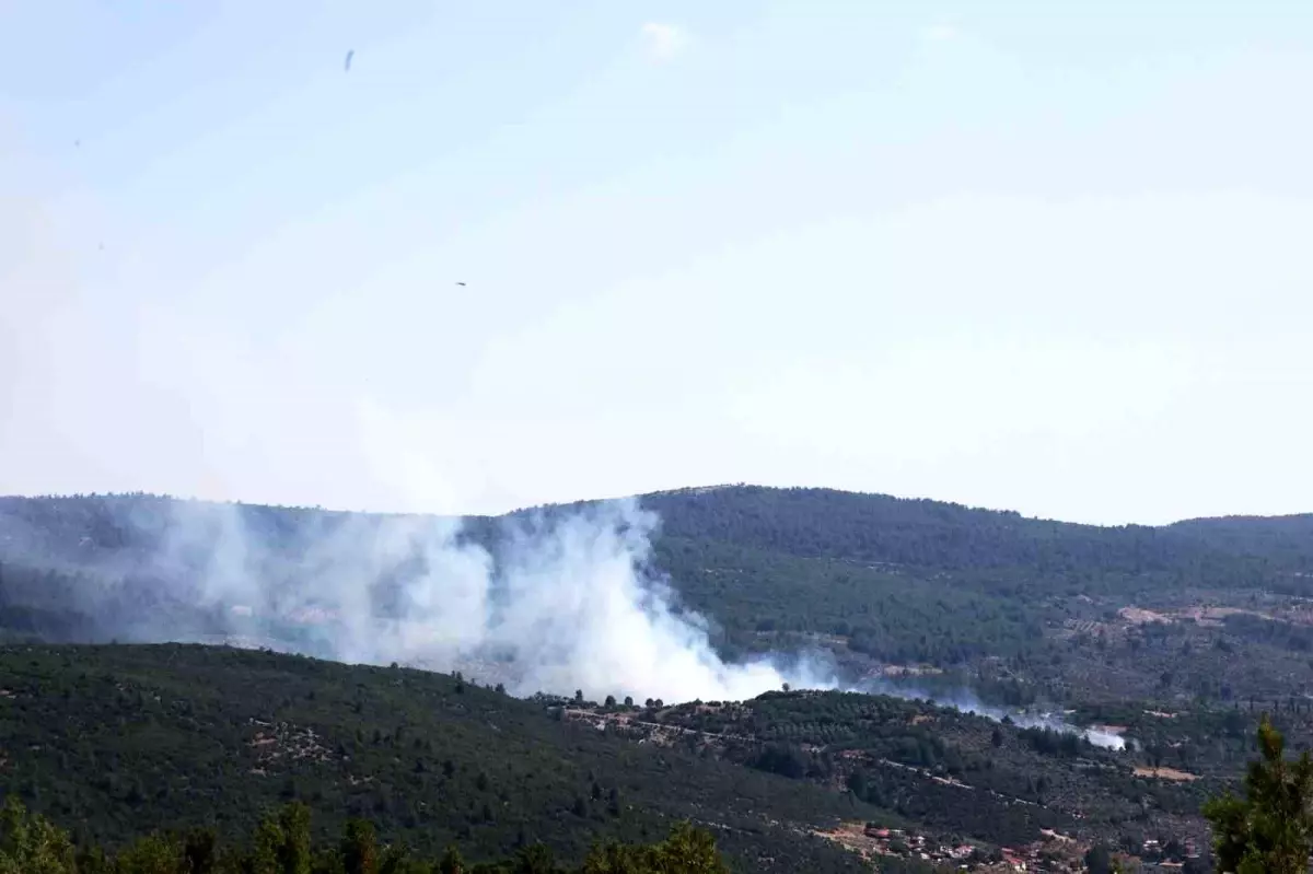 Muğla'da Tarım Arazisinde Başlayan Yangın Ormanı Tehdit Ediyor