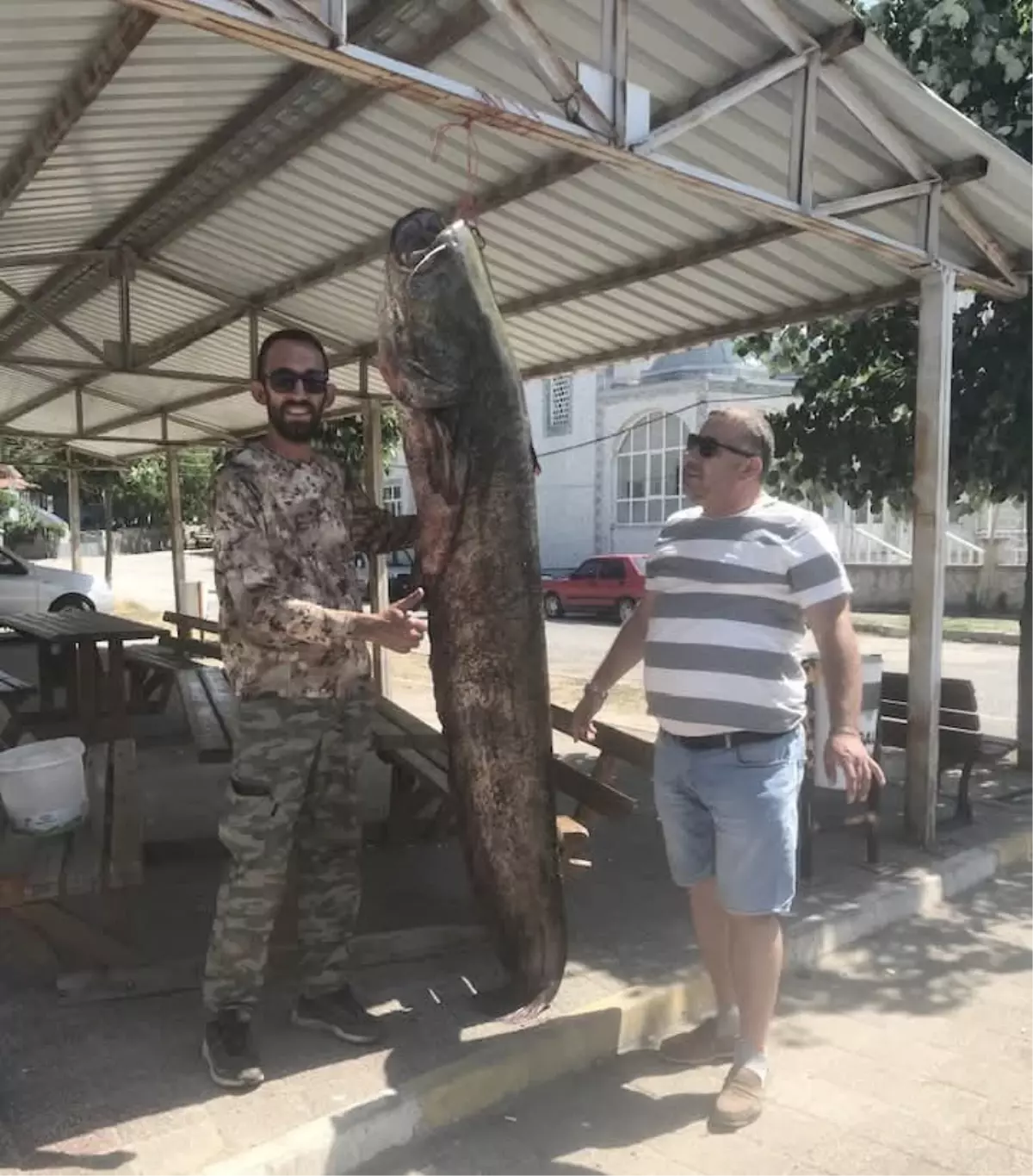 Edirne'de Balıkçı 80 Kiloluk Yayın Balığı Yakaladı