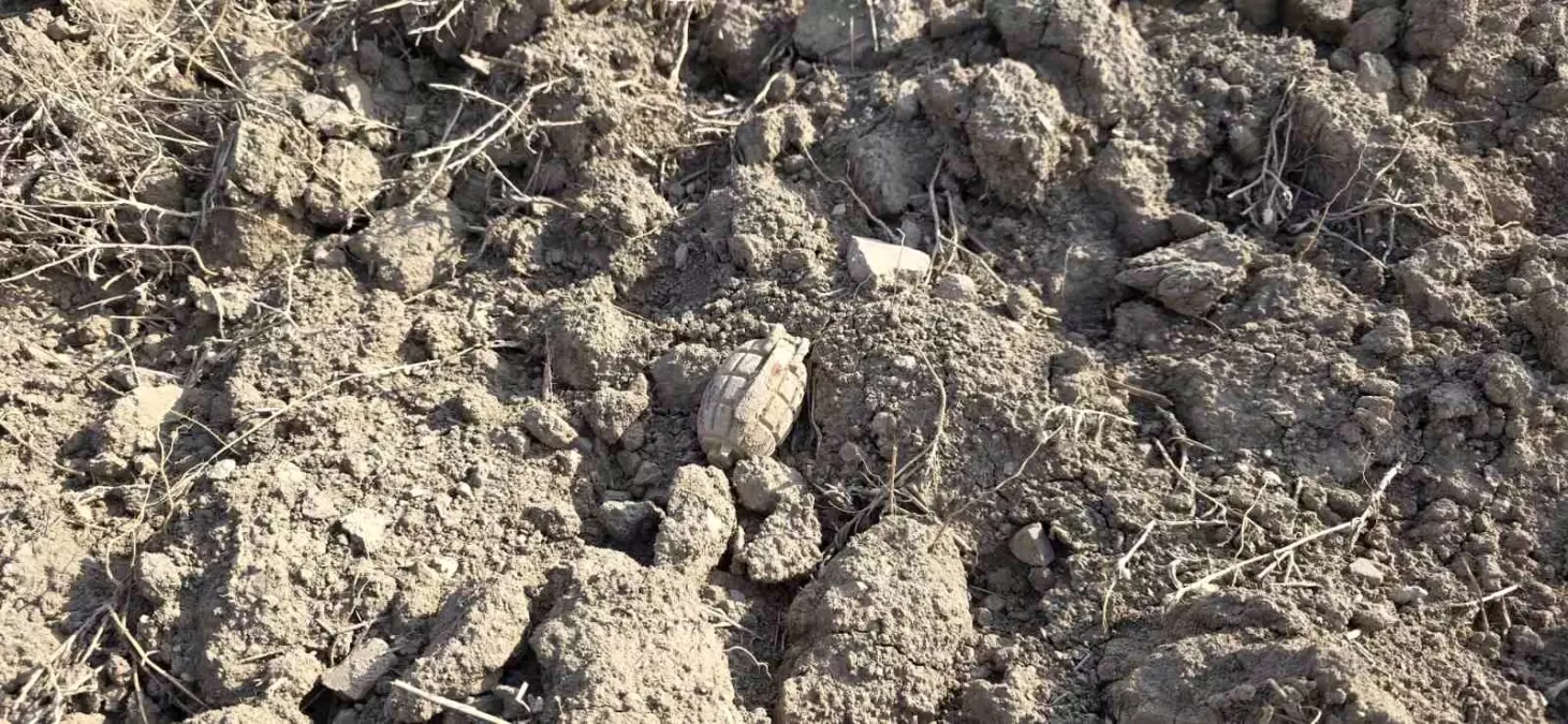 Tarlada Sakarya Meydan Muharebesinden kalma patlamamış el bombası buldu