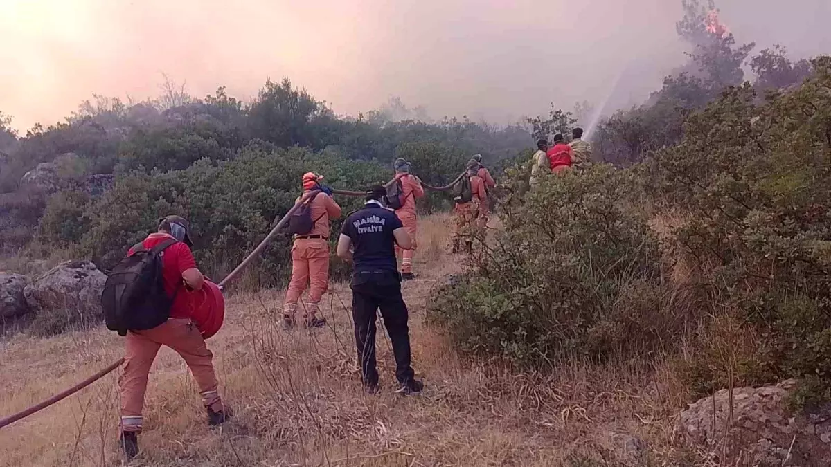 Manisa'da Orman Yangını: Gazetecinin Kaçış Anları Kaydedildi