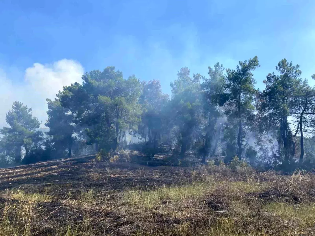 Antalya'da Orman Yangını 2 Saate Kontrol Altına Alındı