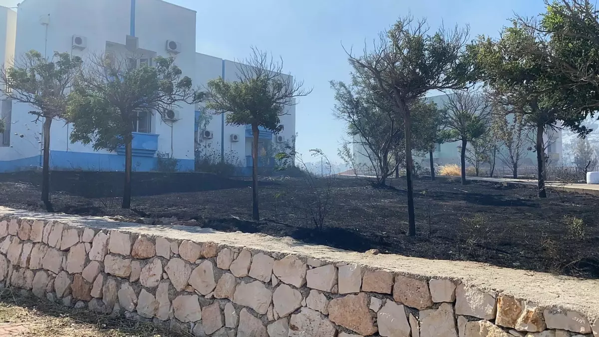 Aydın'da Yangın Sosyal Tesisin Bahçesine Sıçradı