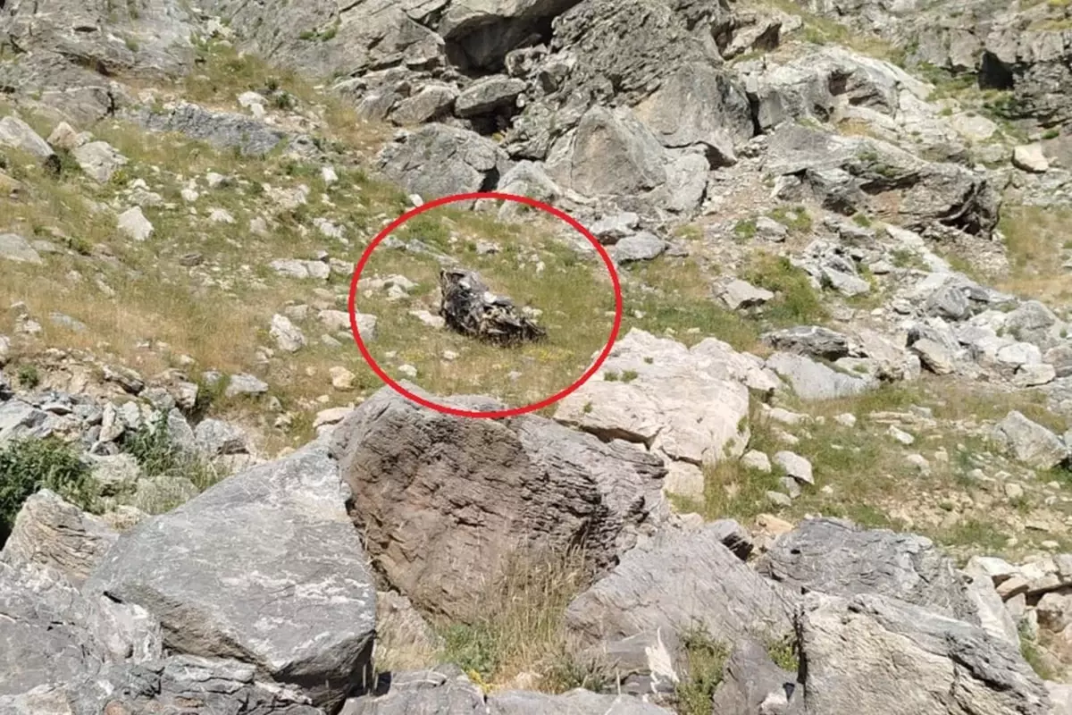 Batman'da bilirkişi heyetinin bulunduğu araç şarampole yuvarlandı: 5 ölü