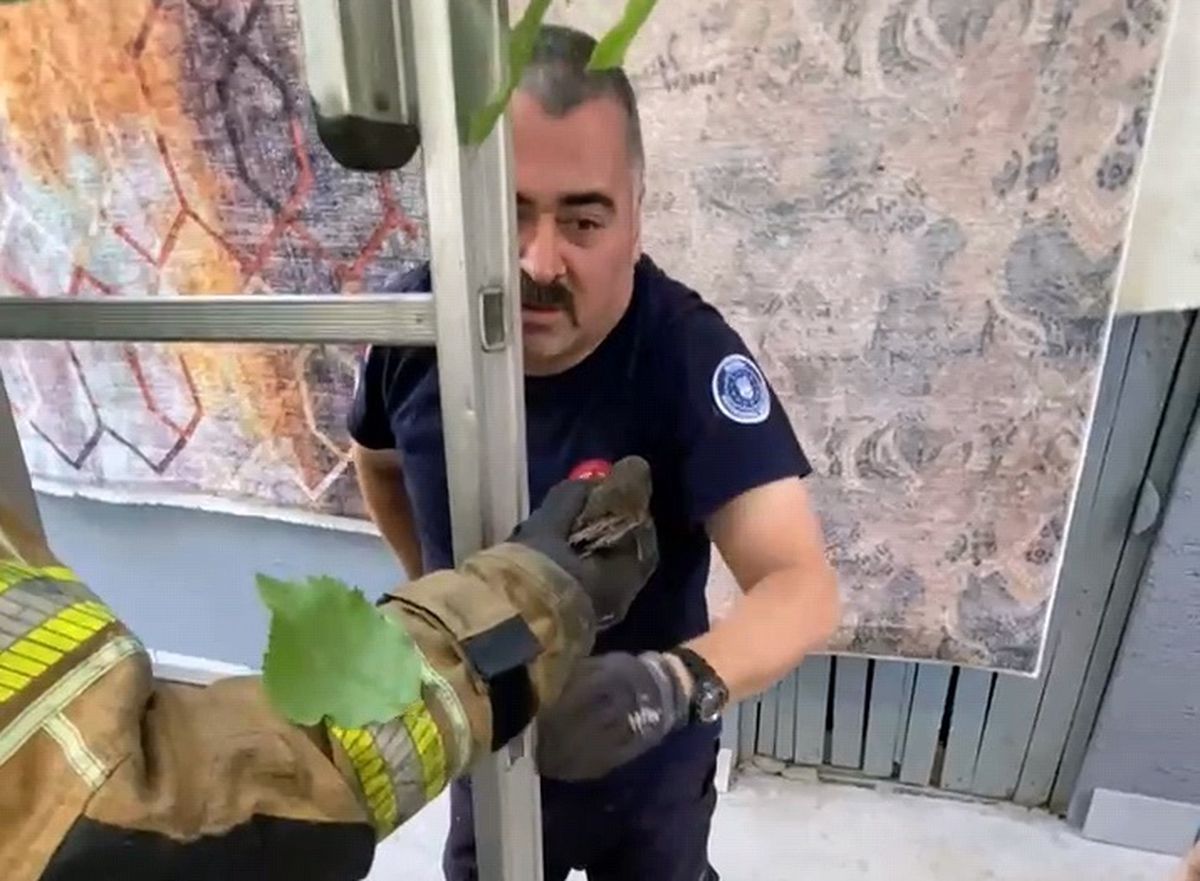 İnegöl'de Sıkışan Ebabil Kuşu İtfaiye Tarafından Kurtarıldı