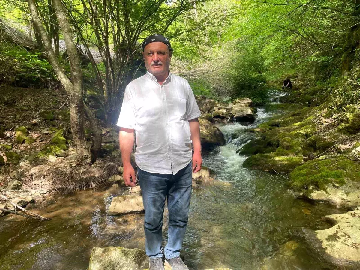 İstanbulluların Gözde Doğa Kaçamağı: Sansarak Kanyonu