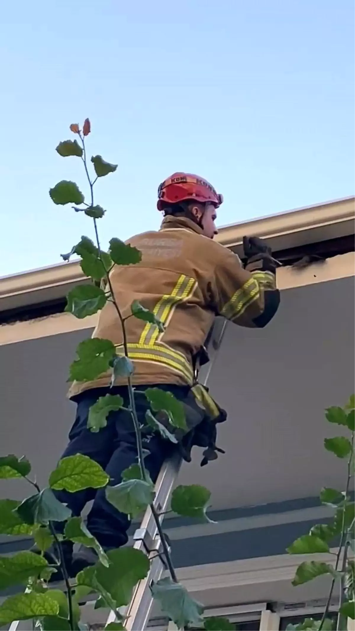 İnegöl'de Ebabil Kuşu İtfaiye Ekipleri Tarafından Kurtarıldı