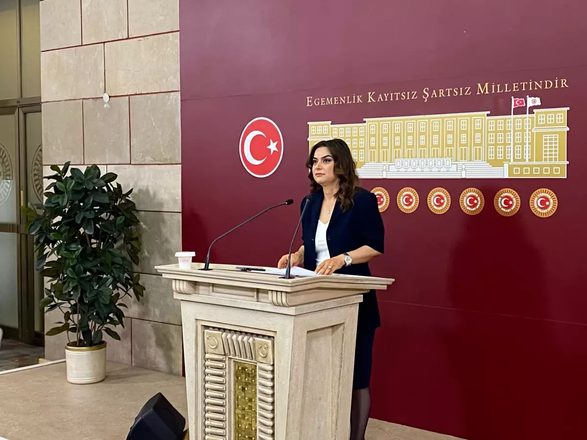 TBMM'de 'Toplumsal Barış ve Demokratikleşme Komisyonu' Kuruluyor