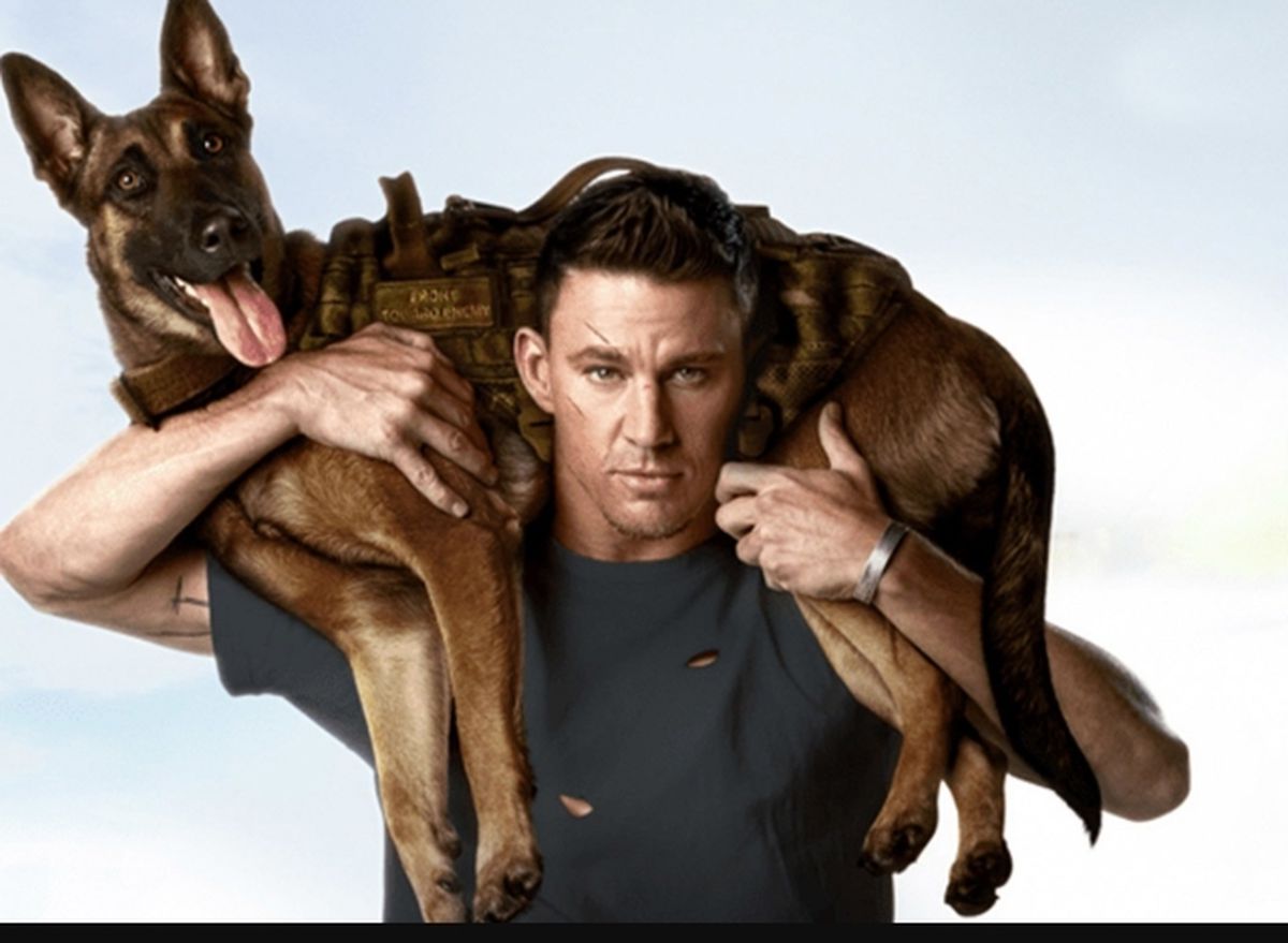 Dog filmi oyuncuları kim, konusu ne, sonu nasıl bitiyor? Dog filmi ne zaman, nerede çekildi?