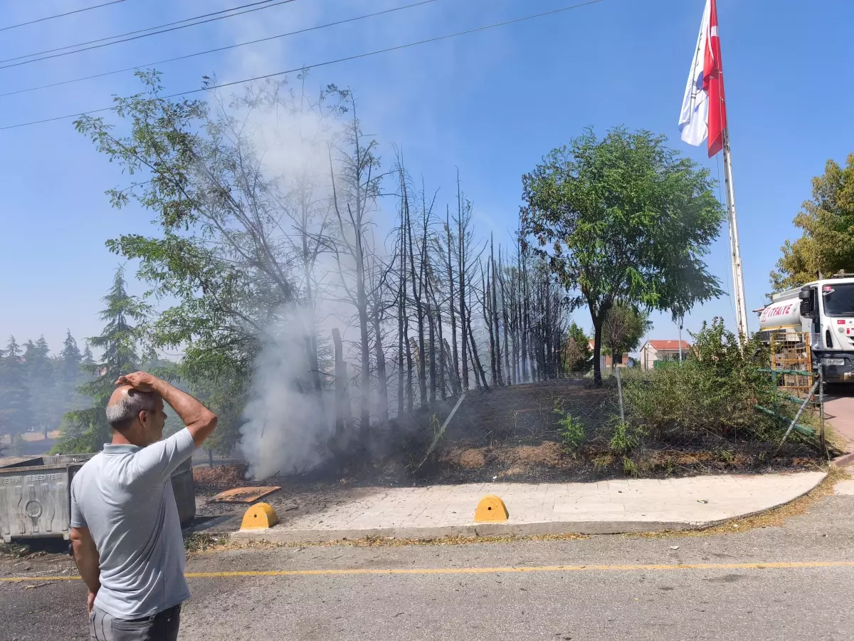 Edirne'de Çocukların Yaktığı Ateş Yangına Neden Oldu