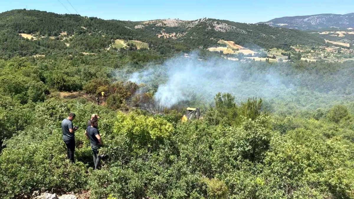 Manisa'da Orman Yangını Kontrol Altına Alındı