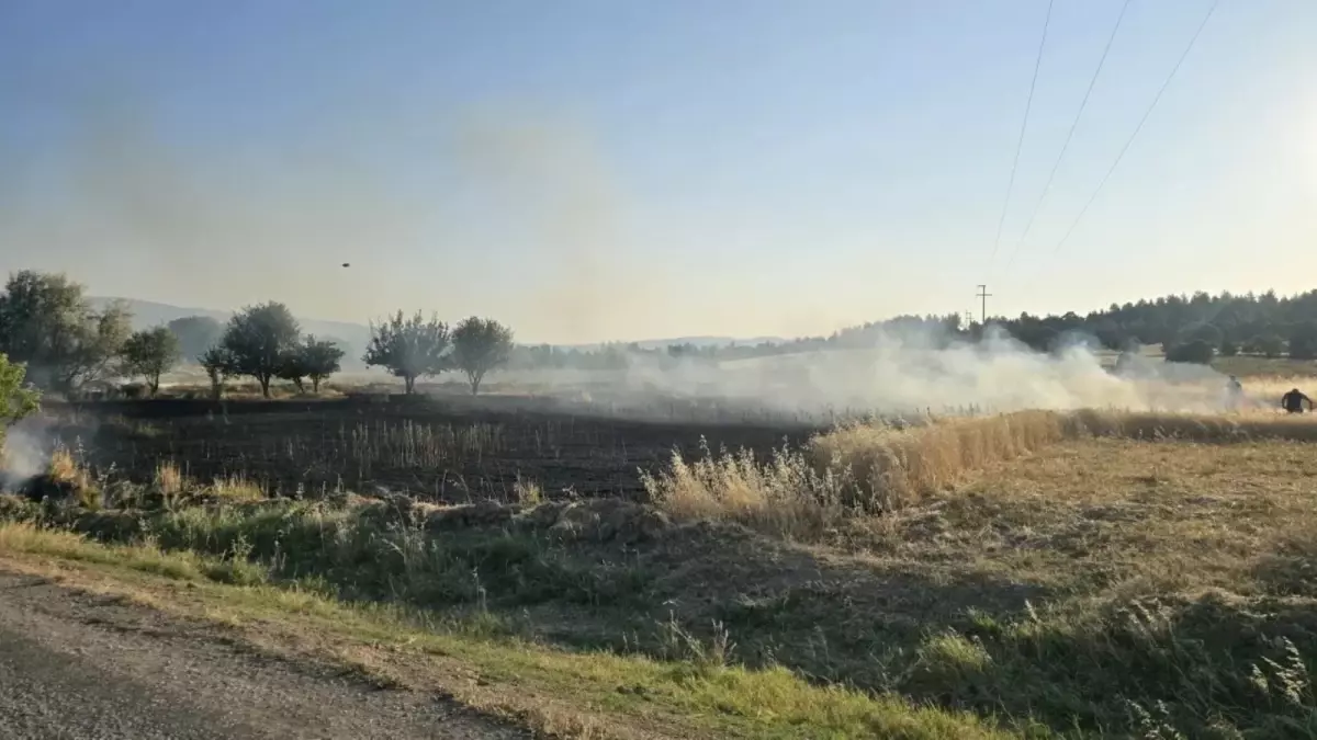 Gediz'de Tarlada Yangın: 5 Dönüm Alan Küle Döndü