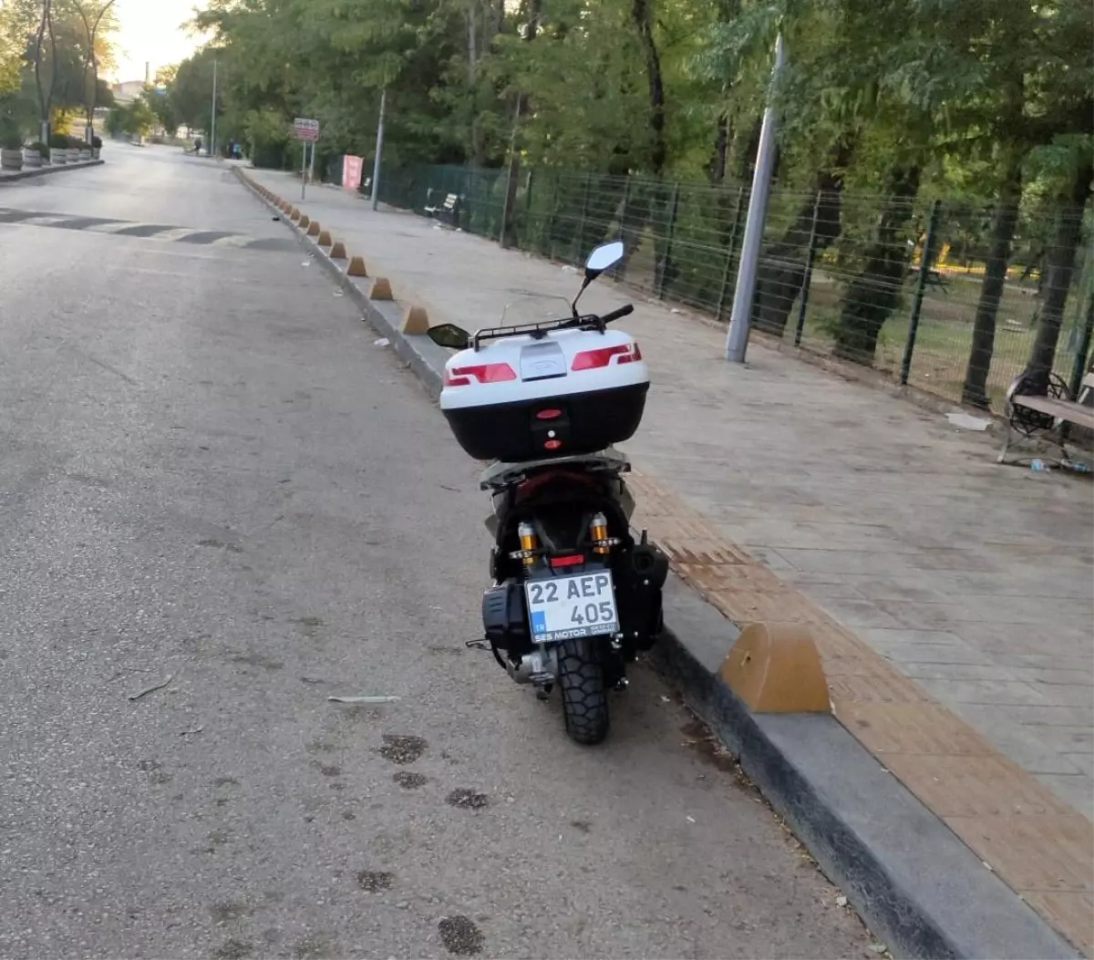 Edirne'de Sokak Köpeklerinin Kovaladığı Motosiklet Devrildi: Sürücü Yaralı