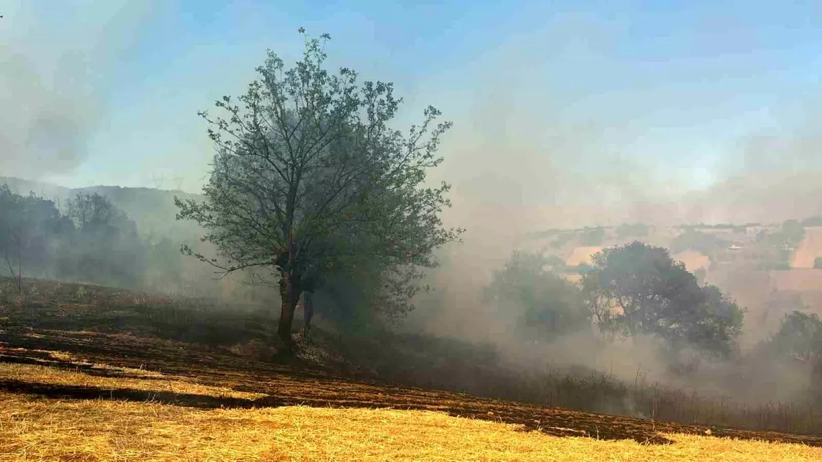 Bursa'nın Kestel İlçesinde Orman Yangınına Hızla Müdahale