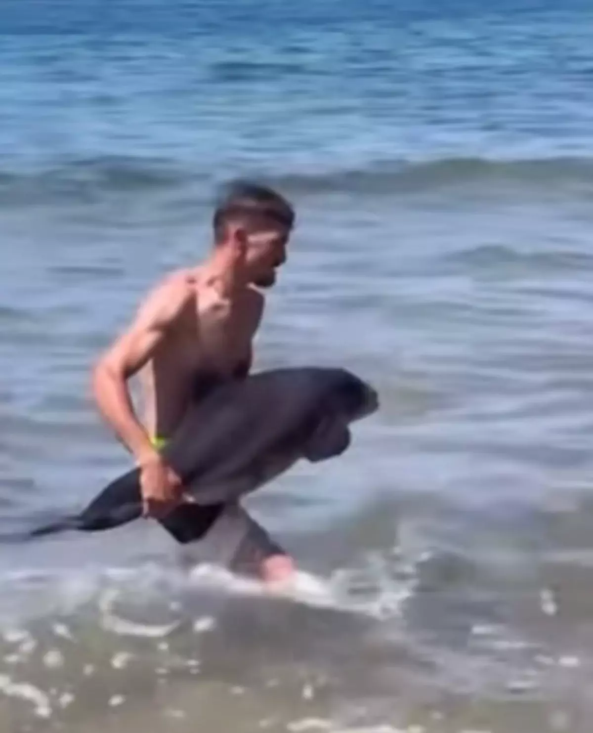 Yaralı Yunus Amasra'da Yeniden Denize Bırakıldı
