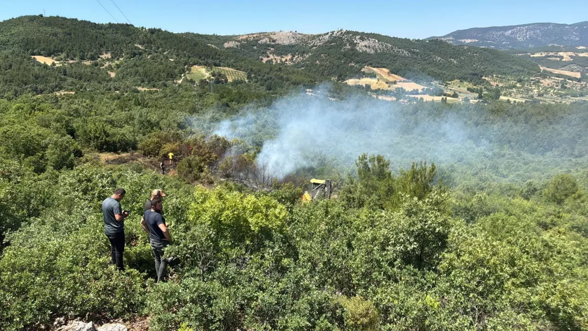 Manisa'da Orman Yangını 30 Dakikada Kontrol Altına Alındı