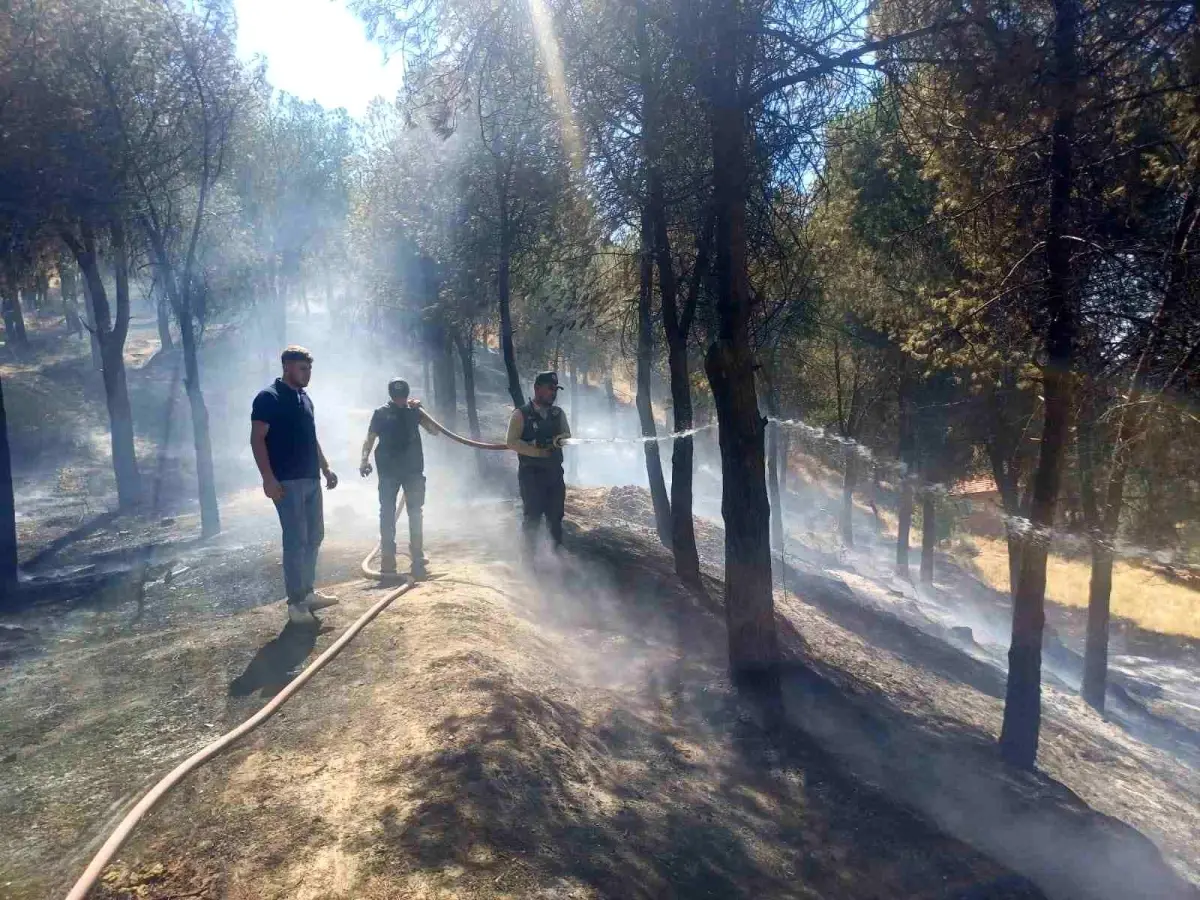 Manisa'da Orman Yangını Kısa Sürede Söndürüldü