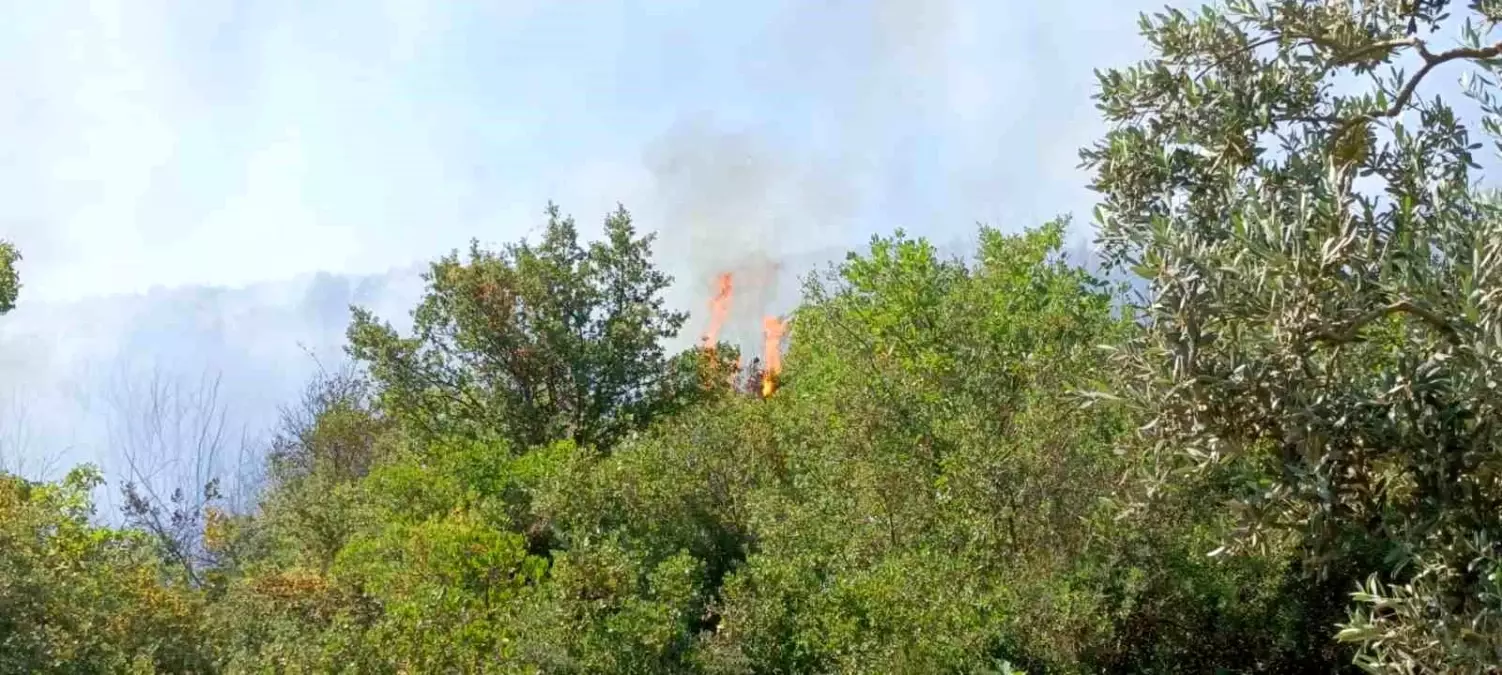Bursa'da Tarla Yangınına Hava ve Karadan Müdahale
