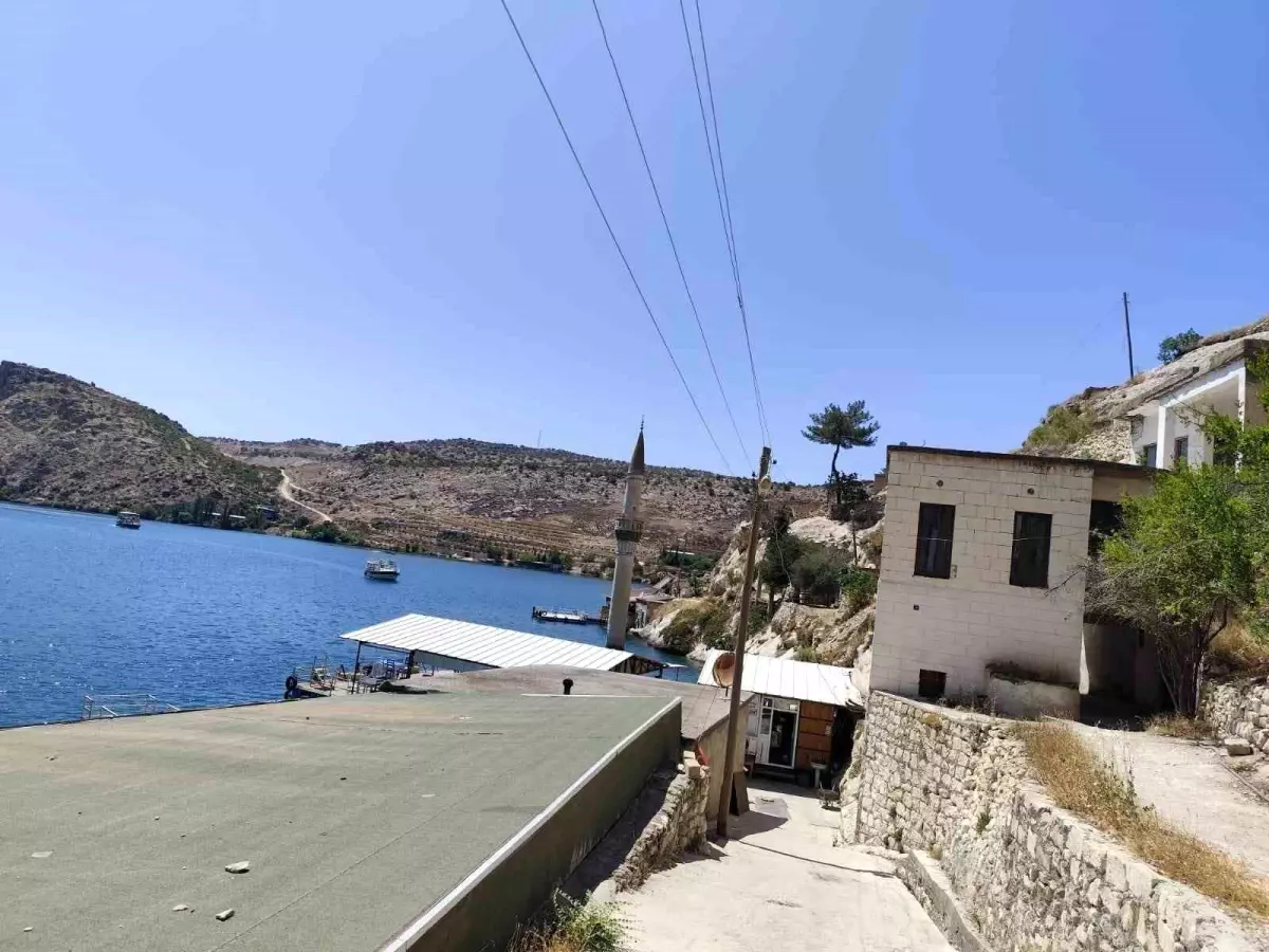 Çizgili Anadolu Sırtlanı Traktörden Gençlere Saldırdı