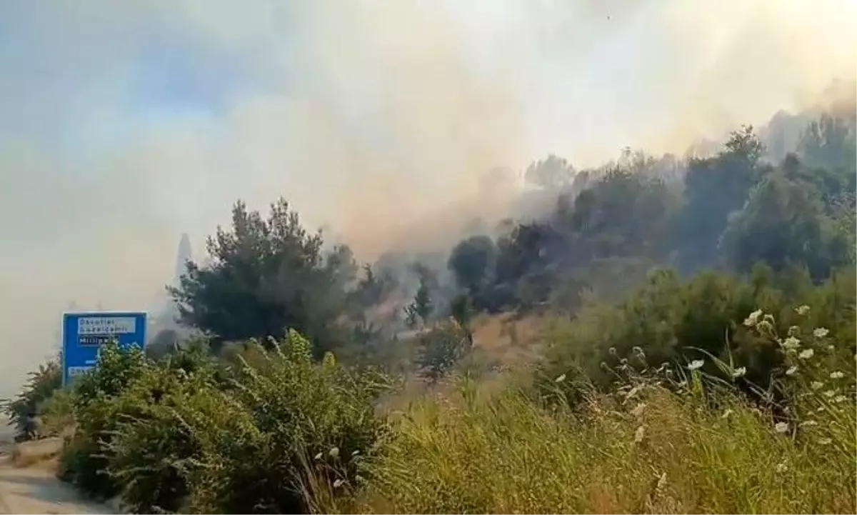 Söke'de Zirai Yangın Ormanlık Alana Sıçradı