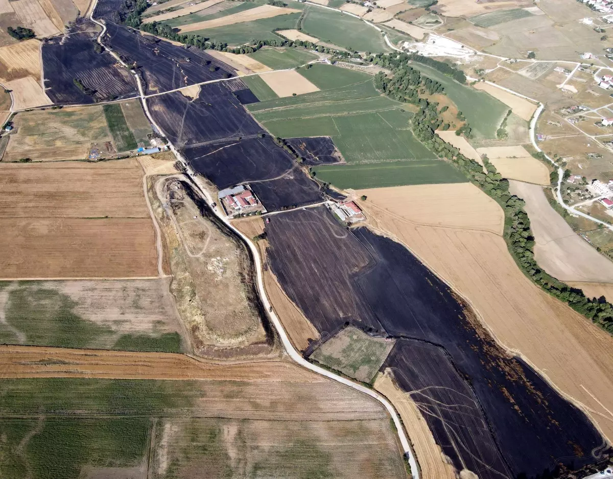 Tekirdağ'da Yangın: 400 Dönüm Buğday Tarlası Zarar Gördü