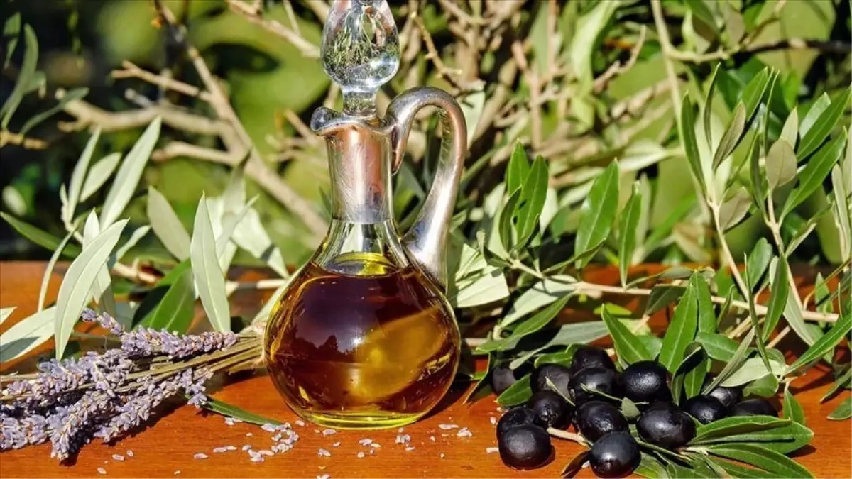 Zeytin yasası ne zaman çıktı, kim çıkardı? SON DAKİKA