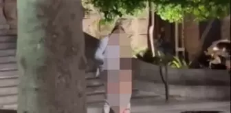 Kimseyi umursamadan tarihi bina önünde ilişkiye girdiler