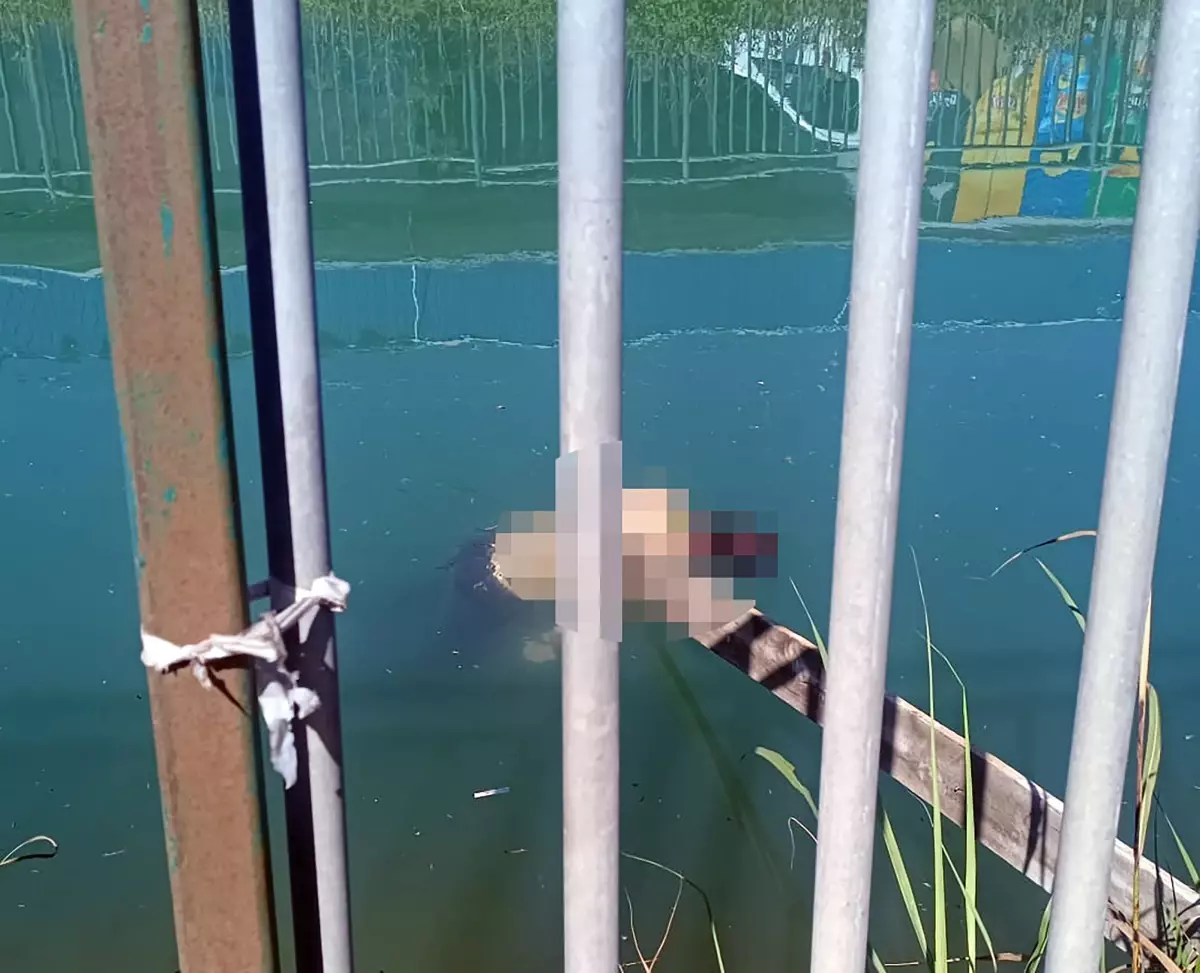 Adana'da Sulama Kanalında Erkek Cesedi Bulundu