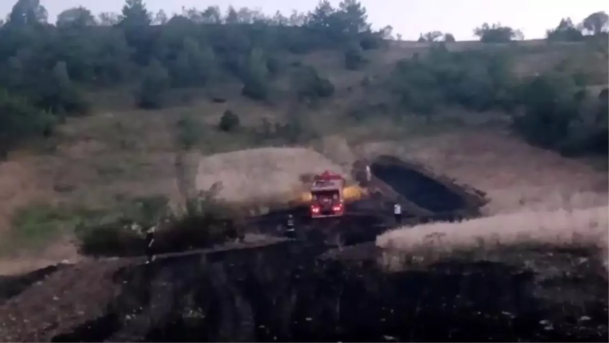 Çorum'da Ekin Tarlasında Yangın Çıktı, Hızla Söndürüldü