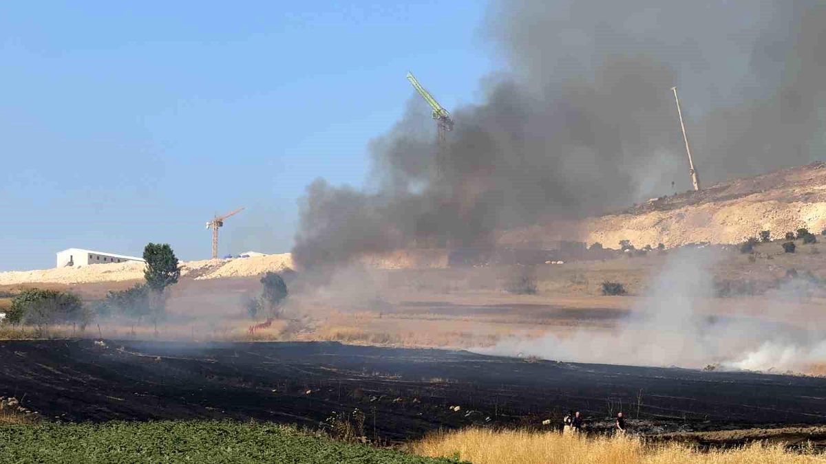 Arnavutköy'de Tarım Arazisinde Yangın Çıktı