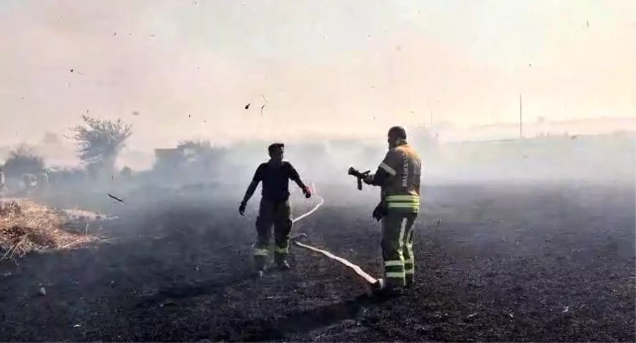 Balıkesir'de Buğday Tarlasındaki Yangına Müdahale Edildi