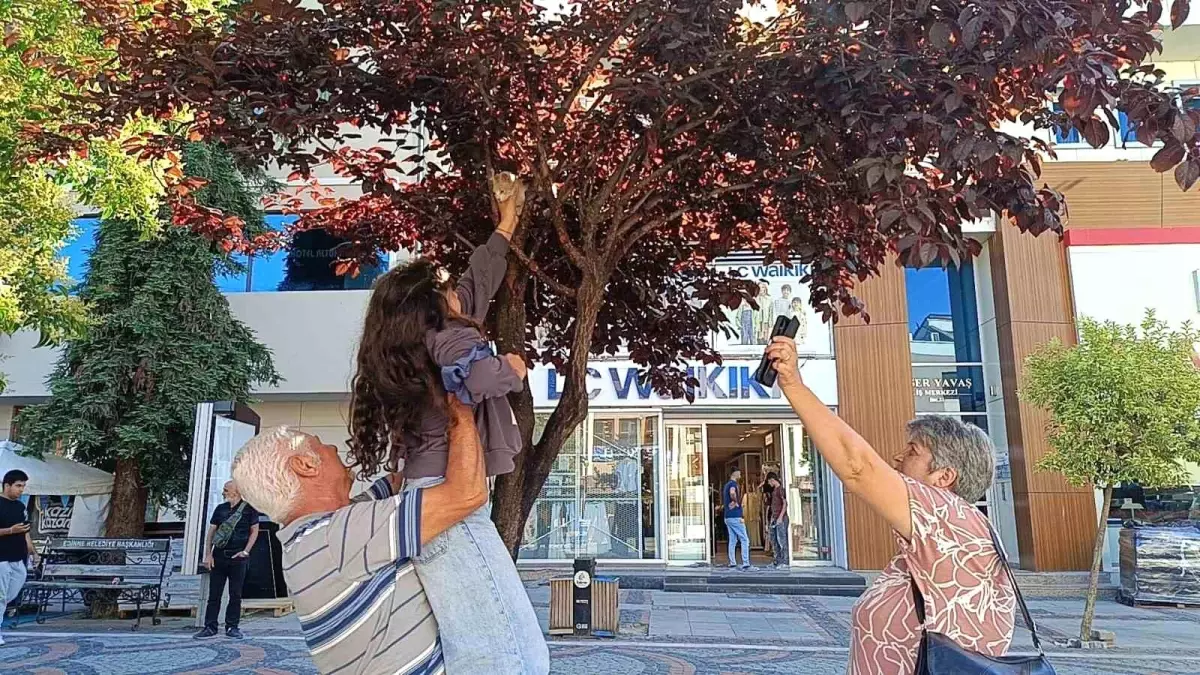 Minik Derin'in Hayvan Sevgisi: Yavru Kediyi Kurtardı