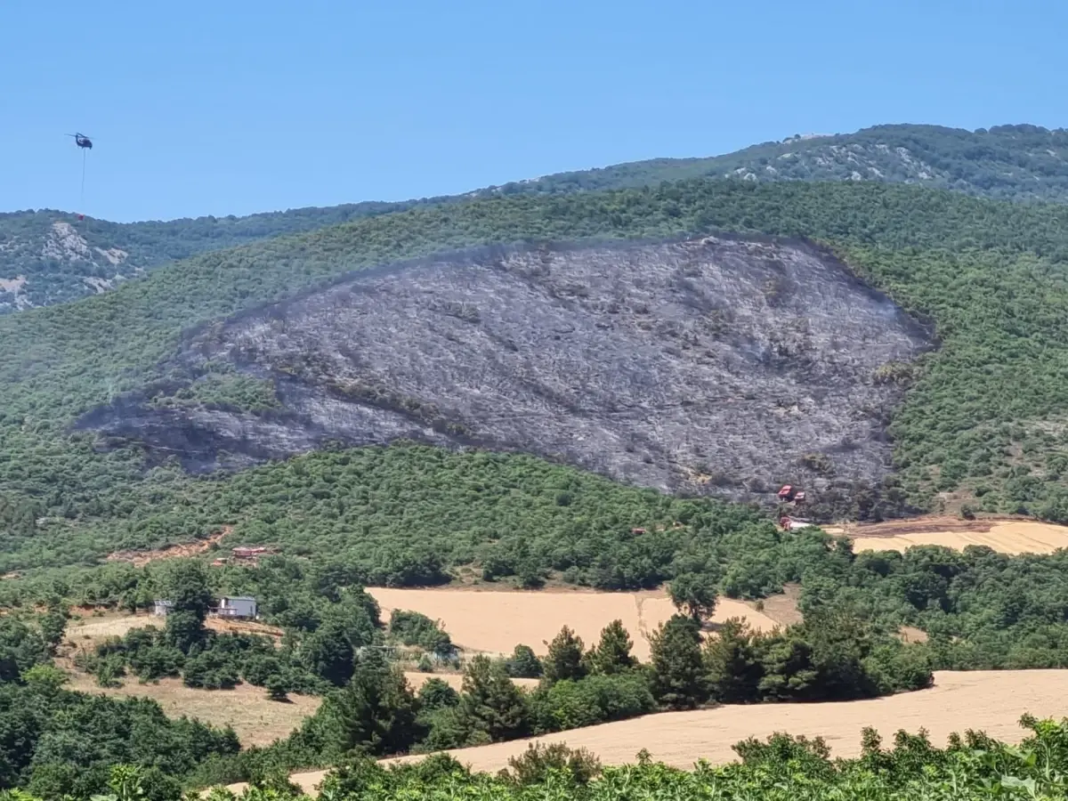 Bursa'da Yangın 3 Saatte Kontrol Altına Alındı