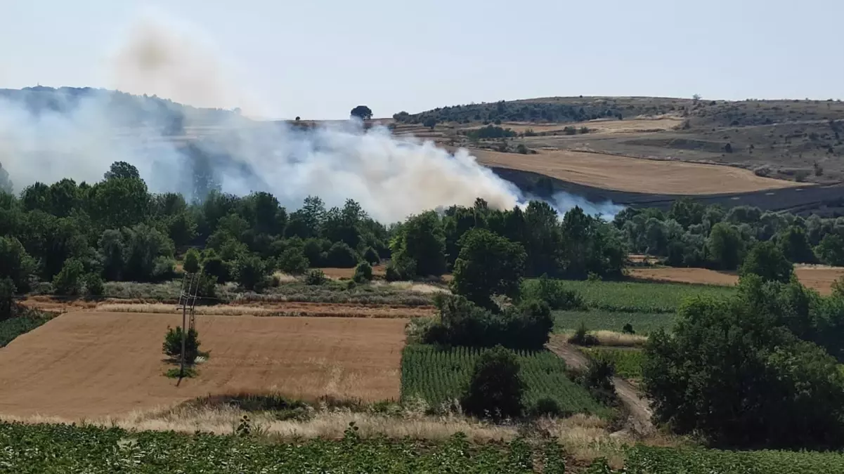Bursa'nın Yenişehir ilçesinde Anız Yangını