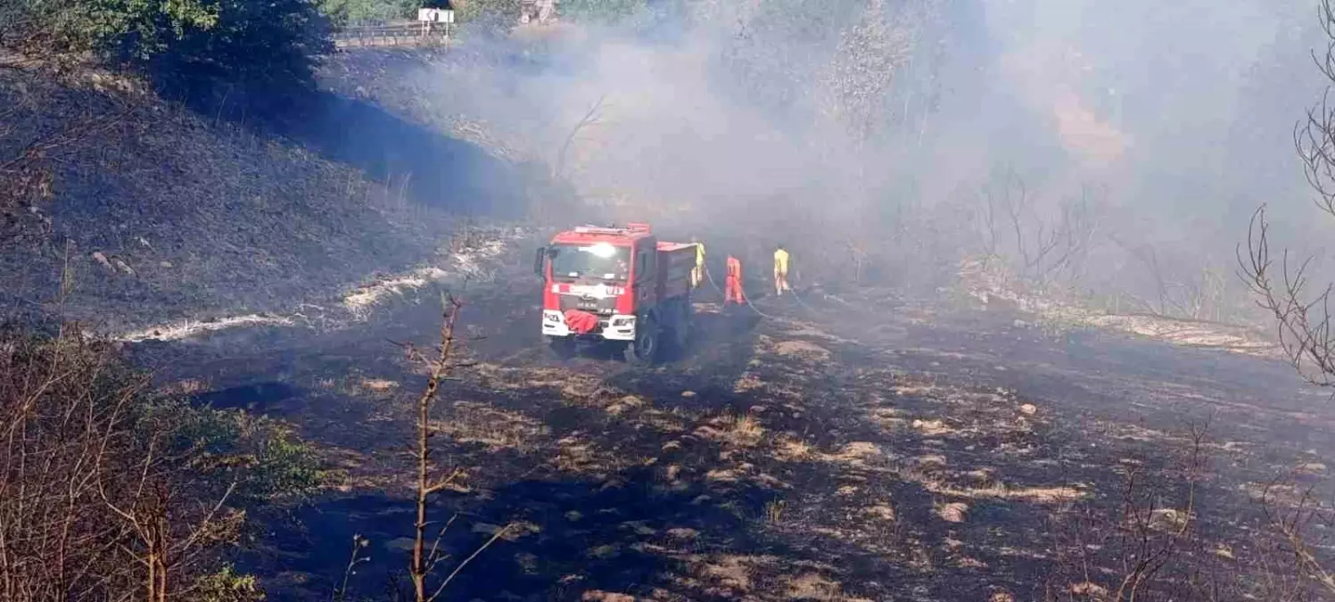 Çanakkale'de Tarım Arazisinde Yangın Çıktı